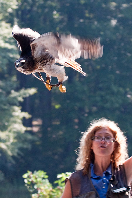 IMG_0898