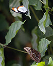 KDK_0839